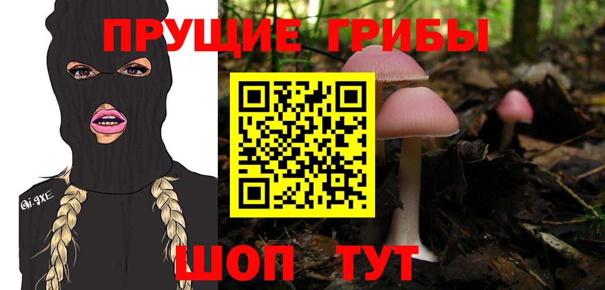 Псилоцибиновые грибы Magic Shrooms  Псилоцибиновые грибы мицелий  Вход с VPN  магазин    Чапаевск 
