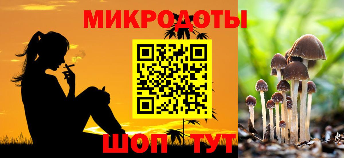 Псилоцибиновые грибы прущие грибы Чапаевск