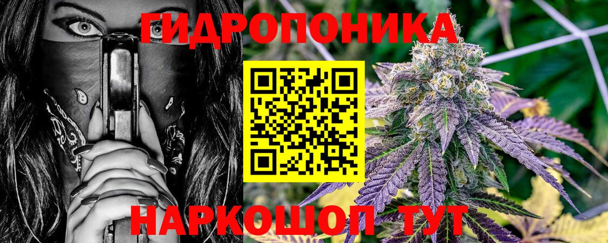Конопля планчик  Марихуана Bruce Banner  Канабис планчик  Вход с VPN  Чапаевск  МАРИХУАНА Amnesia 
